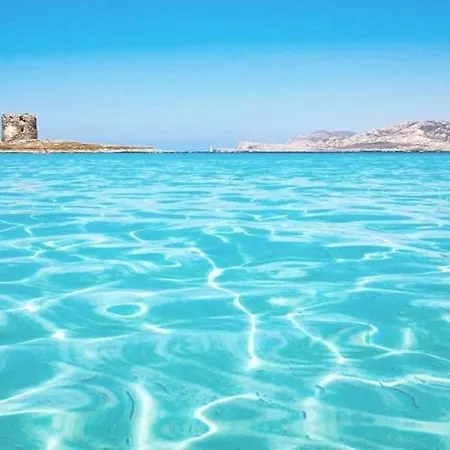Fronte Isola Dell'asinara