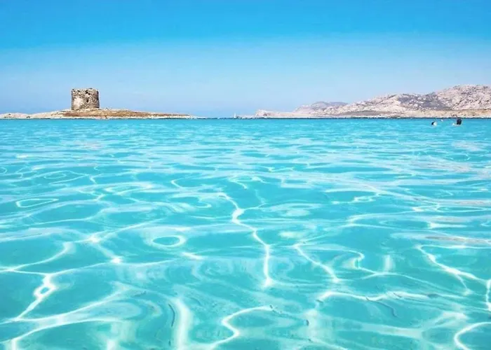 Fronte Isola Dell'asinara