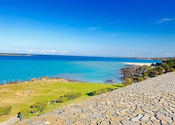 Fronte Isola Dell'asinara Stintino